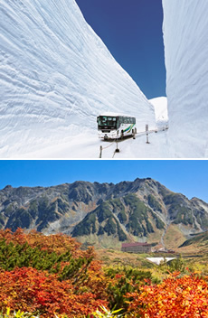 高速バスのハイウェイバスドットコム 全国の高速バスを簡単予約